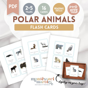 Polar Animals Flash Cards