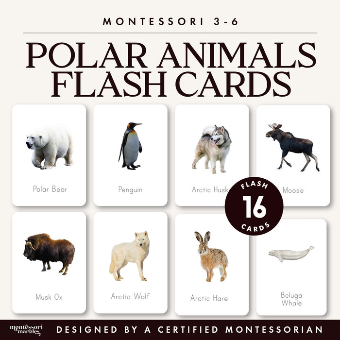 Polar Animals Flash Cards