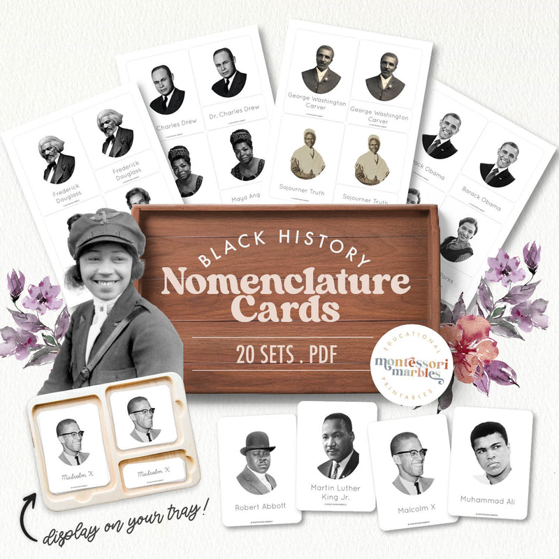 Black History Month nomenclature cards — vocabulary and picture matching for African American history, ages 3-6