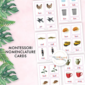 Montessori Pink Series Nomenclature Cards