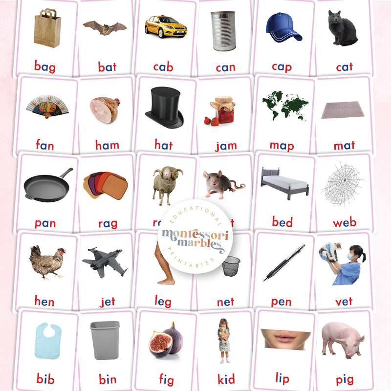 Montessori Pink Series Nomenclature Cards