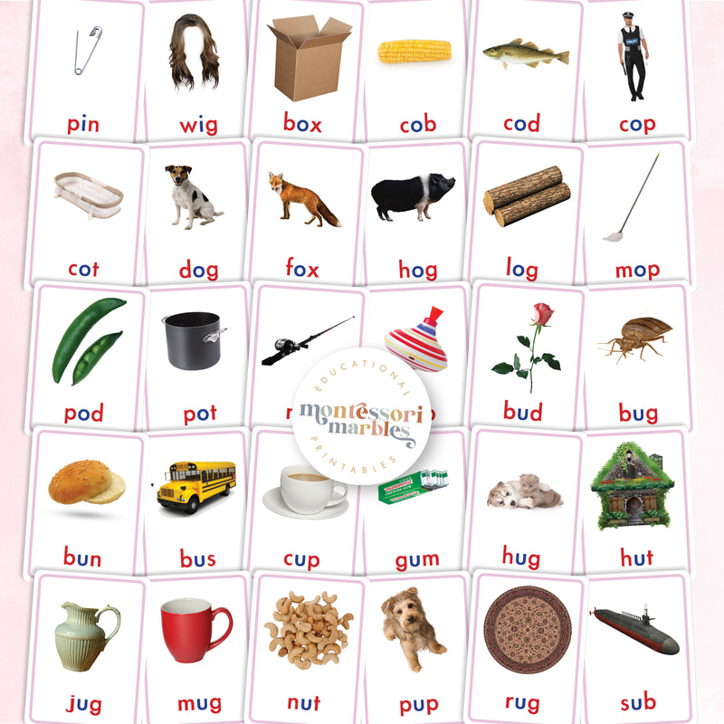 Montessori Pink Series Nomenclature Cards