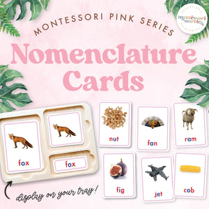 Montessori Pink Series Nomenclature Cards