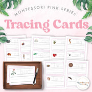 Pink Series tracing cards for CVC handwriting practice