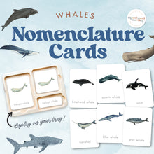 Load image into Gallery viewer, Whales Nomenclature Cards
