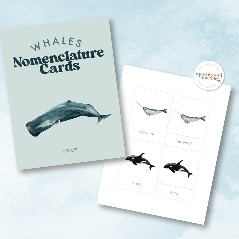 Whales Nomenclature Cards