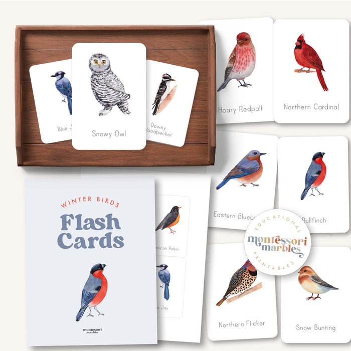 Winter Birds Flash Cards