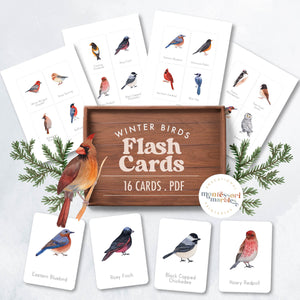 Winter Birds Flash Cards