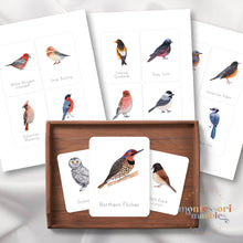 Load image into Gallery viewer, Winter Birds Flash Cards
