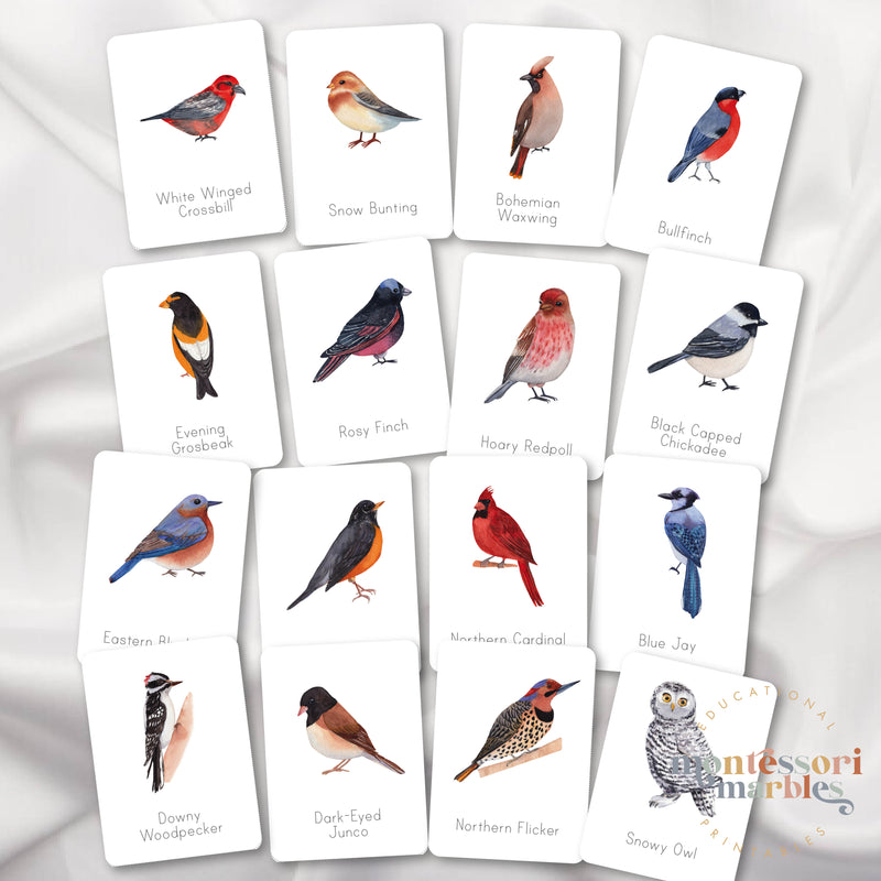 Winter Birds Mini Bundle