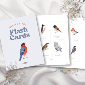 Winter Birds Flash Cards