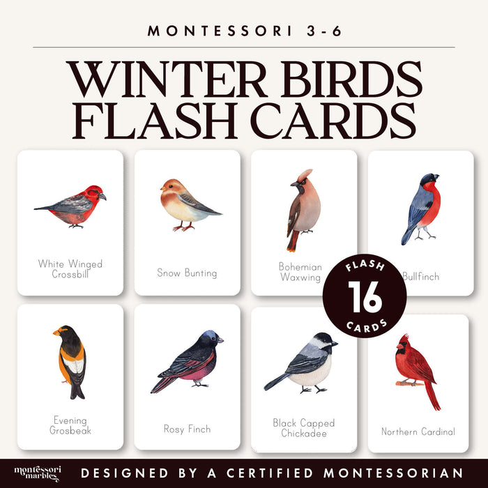 Winter Birds Flash Cards