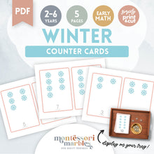 Load image into Gallery viewer, Winter Counting Cards
