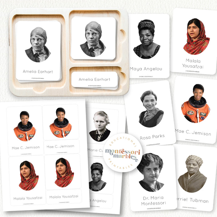 Women History Month Nomenclature Cards