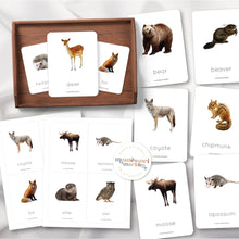 Load image into Gallery viewer, Woodland Animals Flash Cards
