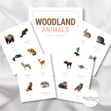 Load image into Gallery viewer, Woodland Animals Flash Cards
