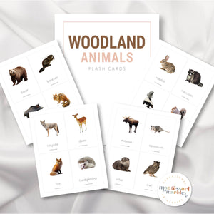 Woodland Animals Flash Cards