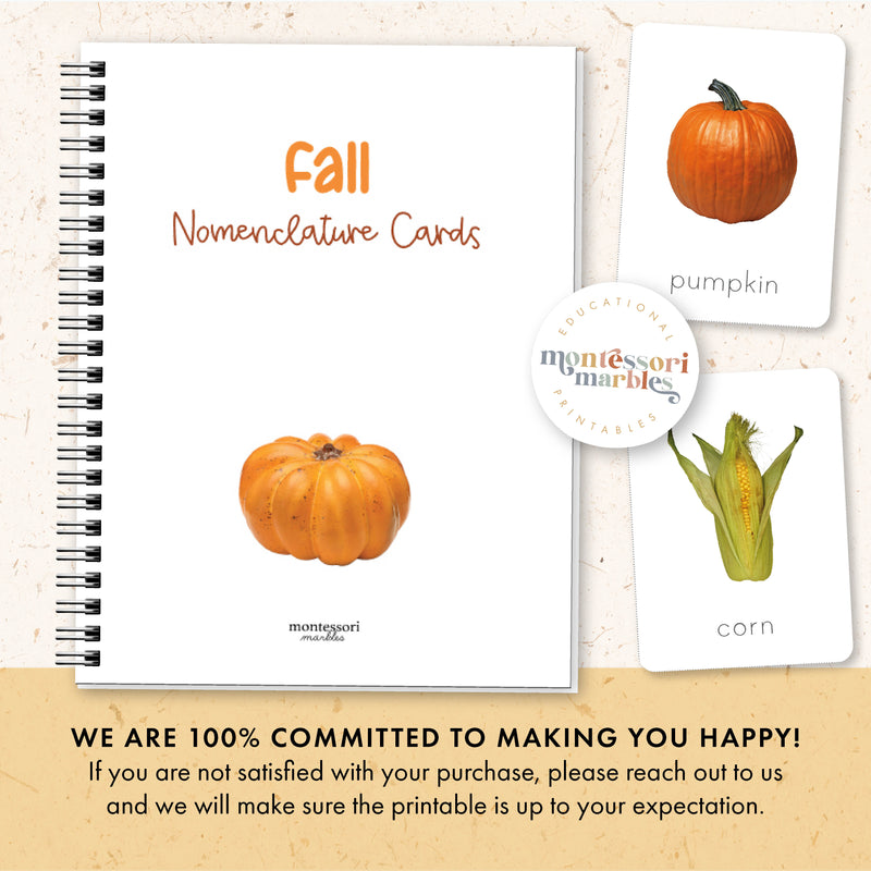 Fall Nomenclature Cards