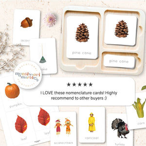 Fall Montessori Nomenclature Cards