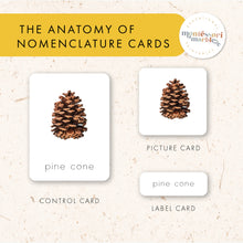 Load image into Gallery viewer, Fall Montessori Nomenclature Cards
