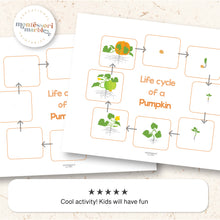 Load image into Gallery viewer, Pumpkin Life Cycle
