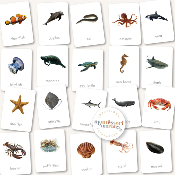 Animals Flash Cards Bundle
