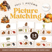 Fall and Thanksgiving picture matching clip cards for visual learning