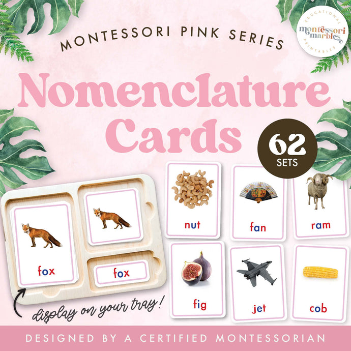 Montessori Pink Series Nomenclature Cards