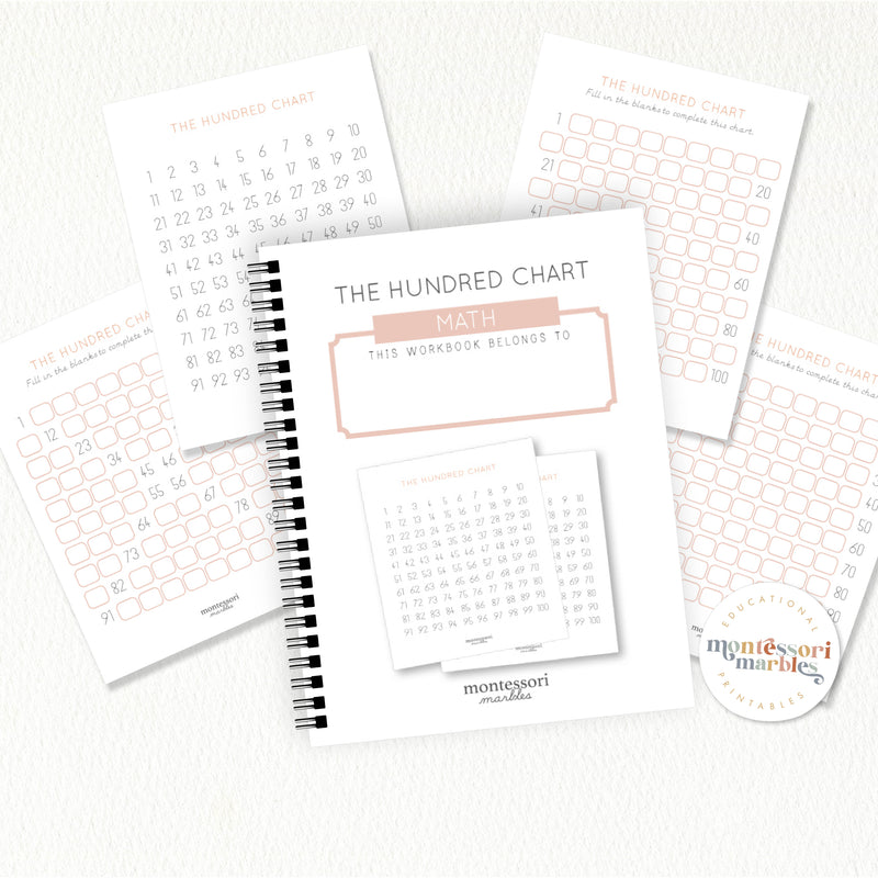 The Hundred Chart Workbook