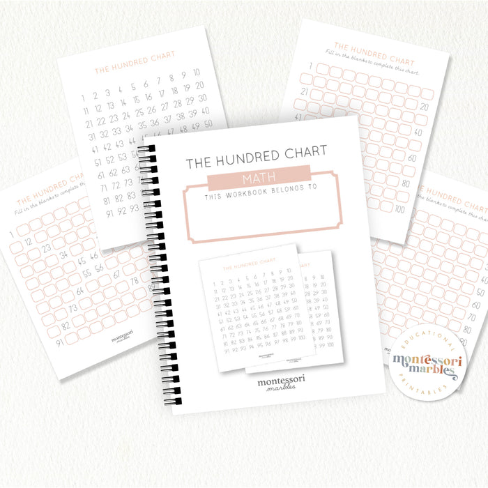 The Hundred Chart Workbook