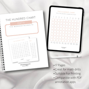 The Hundred Chart Workbook