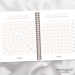 The Hundred Chart Workbook