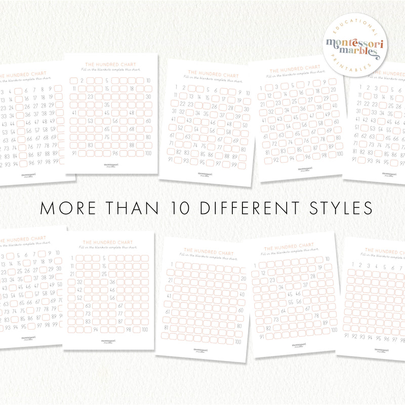 The Hundred Chart Workbook