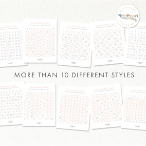 The Hundred Chart Workbook