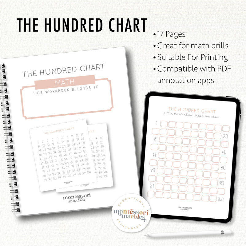 The Hundred Chart Workbook