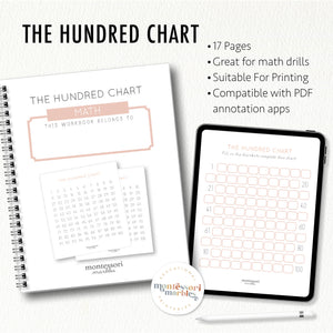 The Hundred Chart Workbook