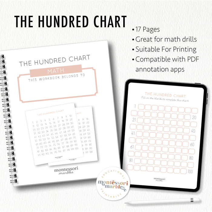 The Hundred Chart Workbook