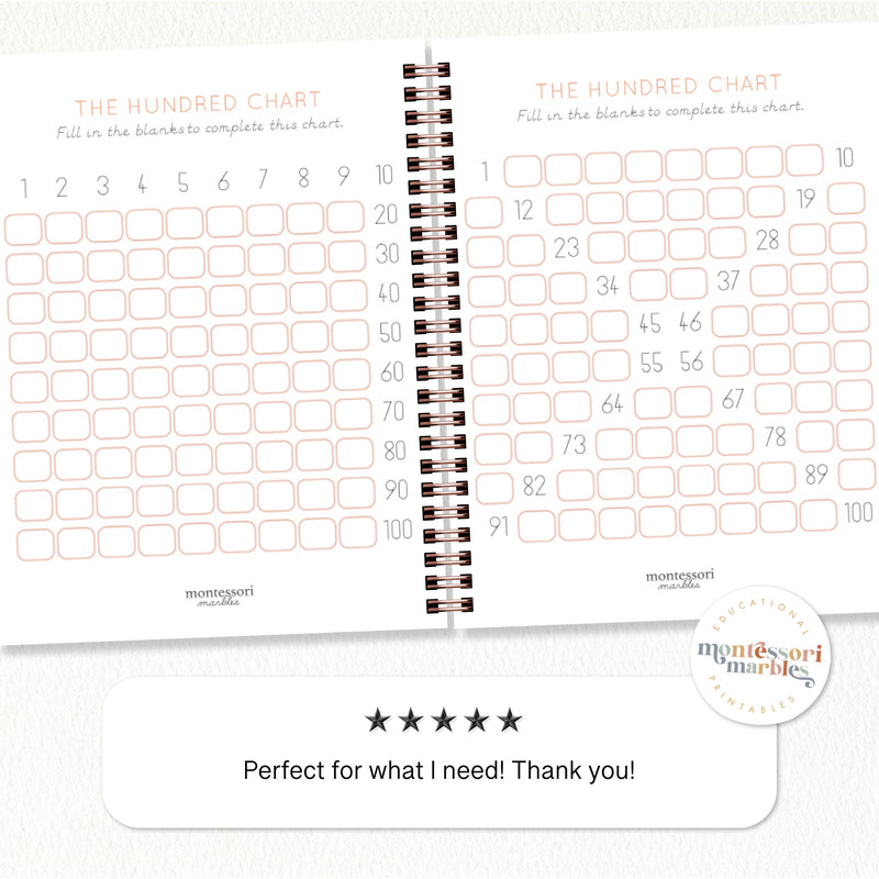 The Hundred Chart Workbook