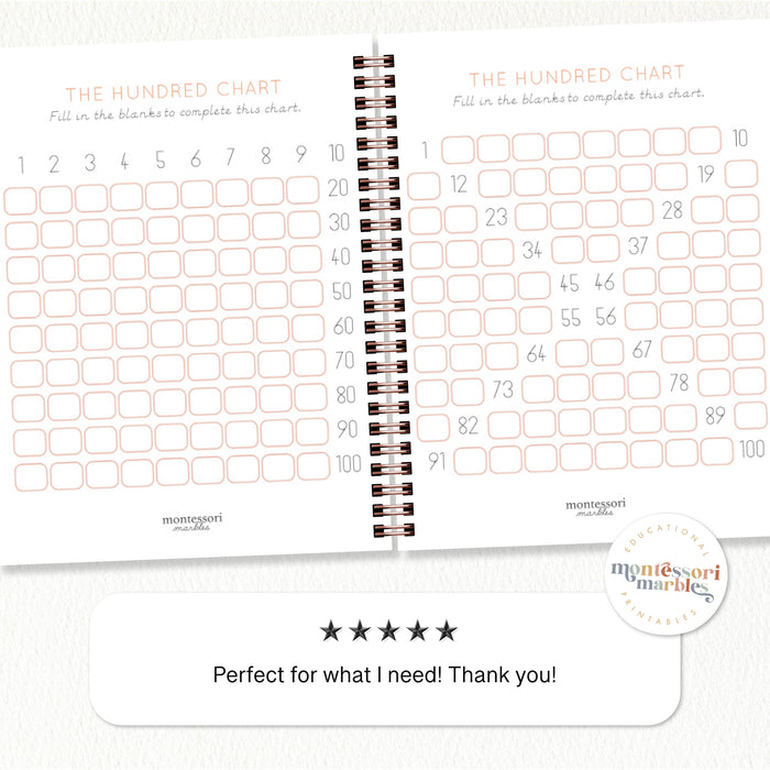 The Hundred Chart Workbook