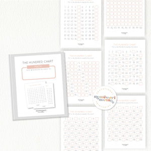 The Hundred Chart Workbook