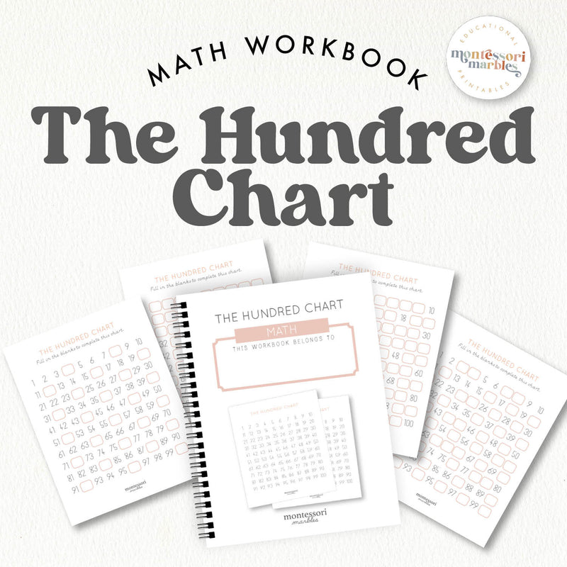 Hundred chart counting workbook for numeracy and patterns — ages 3-6