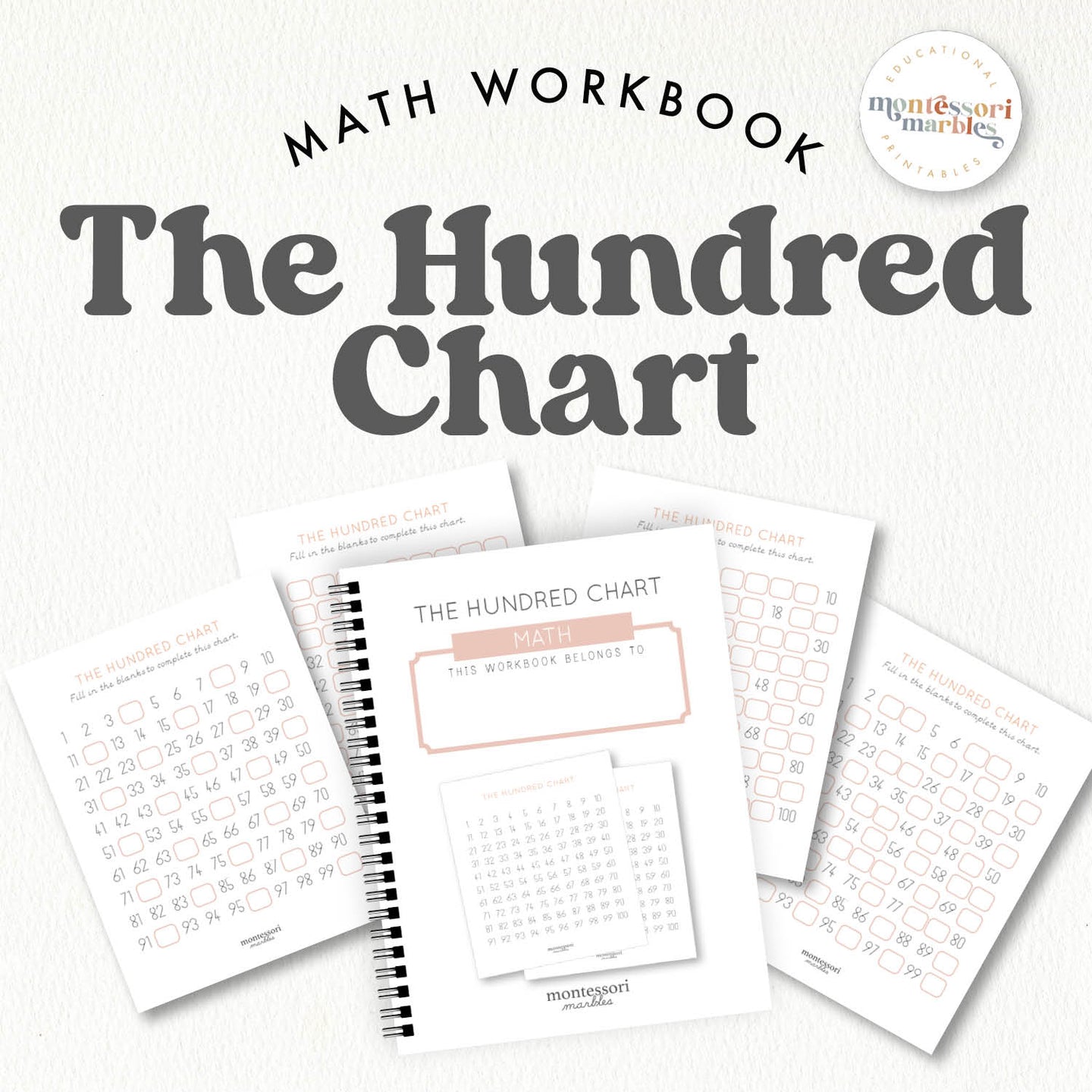 The Hundred Chart Workbook