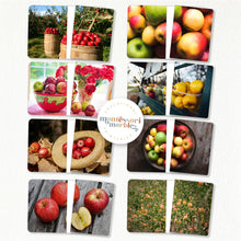 Load image into Gallery viewer, Apples Complete the Pictures
