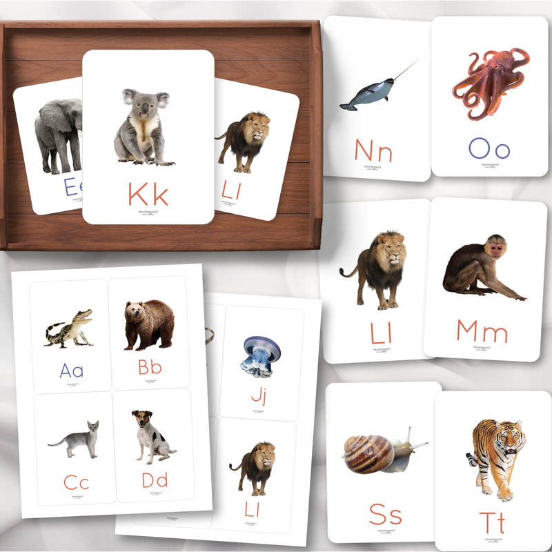 Beginning sounds flash cards for phonemic awareness and vocabulary