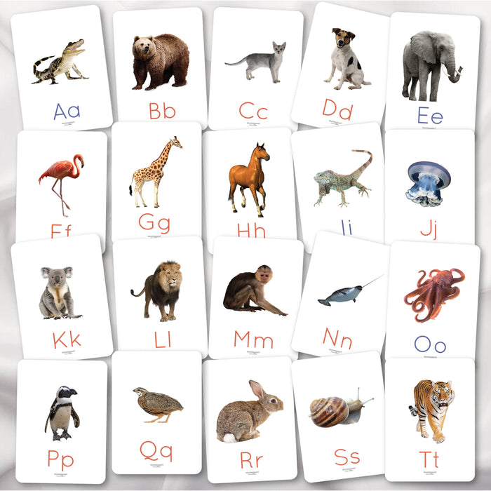 Beginning Sounds Flash Cards