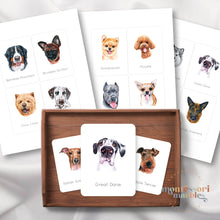 Load image into Gallery viewer, Dogs Flash Cards
