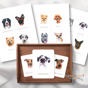 Dogs Flash Cards