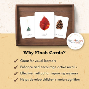 Fall Flash Cards