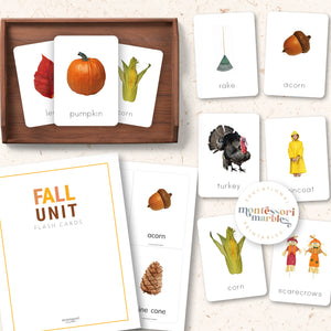 Fall Flash Cards