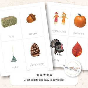 Fall Flash Cards